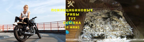 альфа пвп Богданович