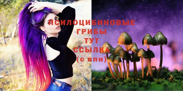 гашиш Богородицк
