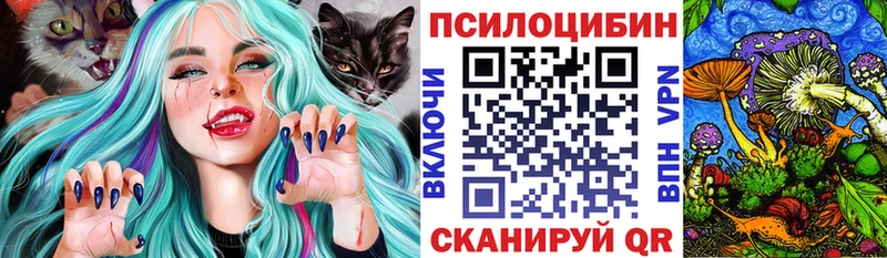гидра зеркало  Жердевка  Галлюциногенные грибы MAGIC MUSHROOMS  цены наркотик 